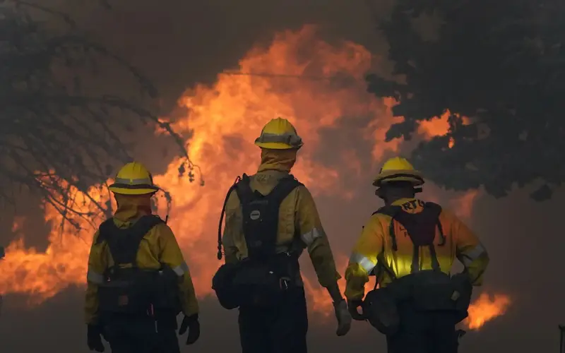 Southern California Edison to pay record $82.5m for Bobcat Fire damages