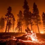 Raging Wildfire Forces Evacuations, Shuts Down Oil Output in Canada's Alberta