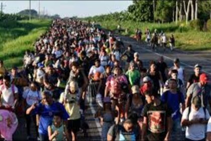 Undocumented migrants US self deportation Trump