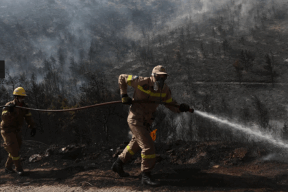 Tourism, tradition and trees at risk as wildfires devour Greece's Chios