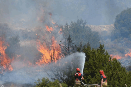 Turkey’s wildfires: Two dead, ten arrested as crews battle Izmir infernos