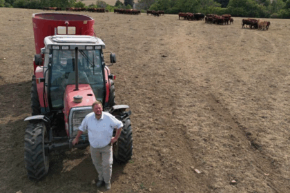 How drought affects British cattle farmers