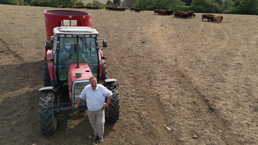How drought affects British cattle farmers