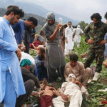 Afghan earthquake victims