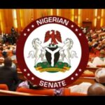 Senate moves to revoke passports of Nigerians convicted abroad for 10 years