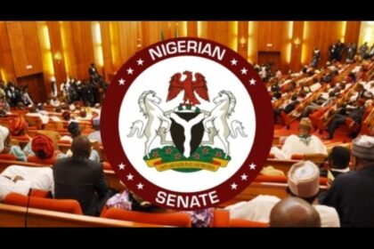 Senate moves to revoke passports of Nigerians convicted abroad for 10 years