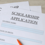 The Dutch Ministry Scholarship