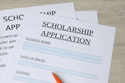 The Dutch Ministry Scholarship