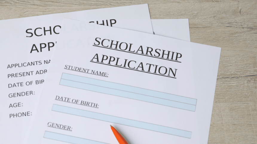 The Dutch Ministry Scholarship